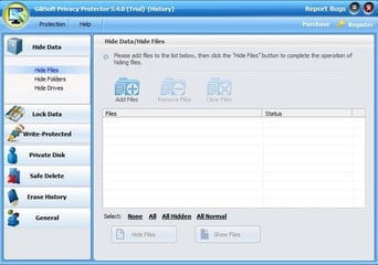 Gilisoft Privacy Protector EN Global Software License