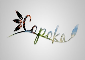 Copoka EN Global Steam