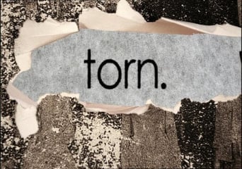 Torn EN/DE/FR/IT/JA/KO/ES Global Steam